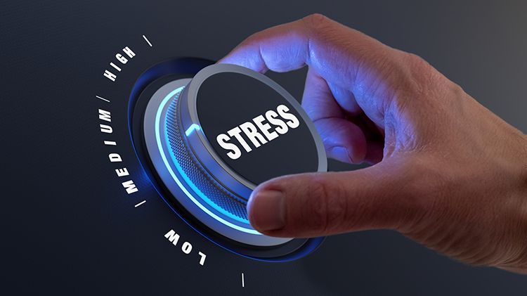 EFMP Workshop: Calming the Holiday Chaos - Stress Management
