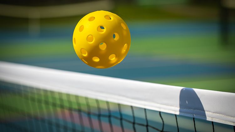 Pickleball Tournament: Battle of the Paddle 